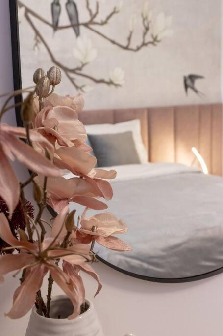 Joy City Stay Nord One N2-66 Timişoara Eksteriør bilde